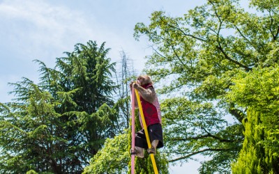 オシャレな街並みを楽しもう異人館の歩き方